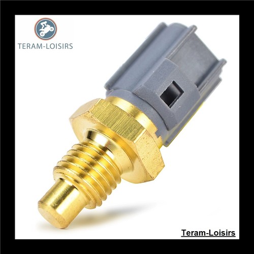 Sonda termostato radiatore per